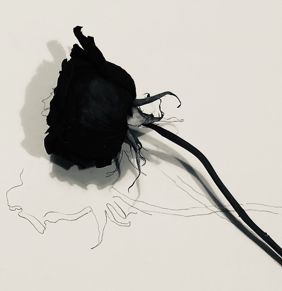 Adrienne Der Marderosian